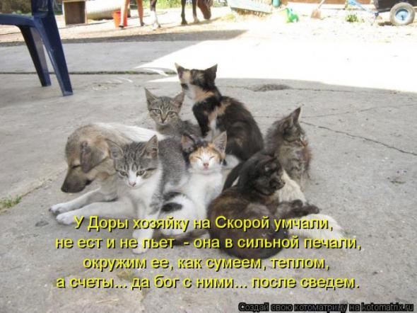 397fac1bc910868e9fc1edcd3e7 prev