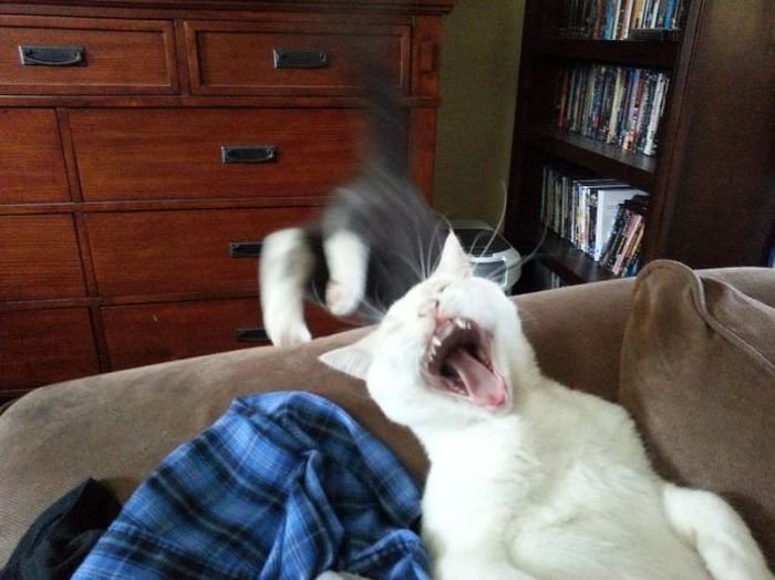 щас..спою..))