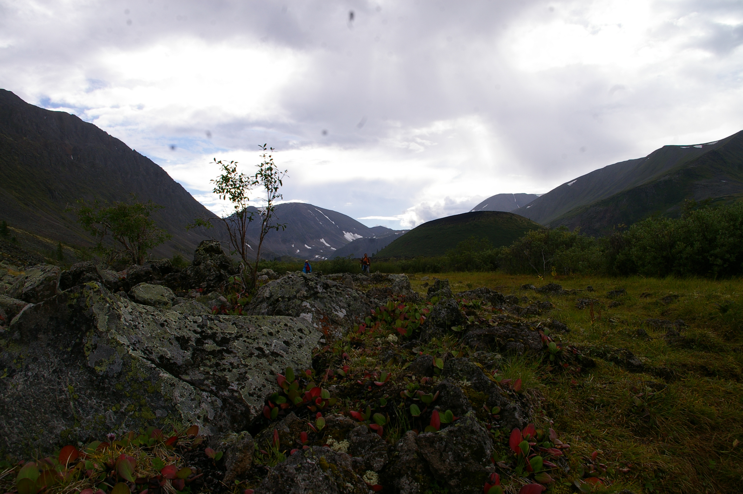 лавовое поле