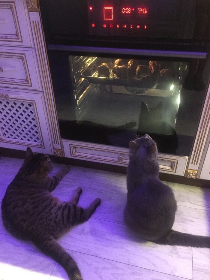 Под присмотром