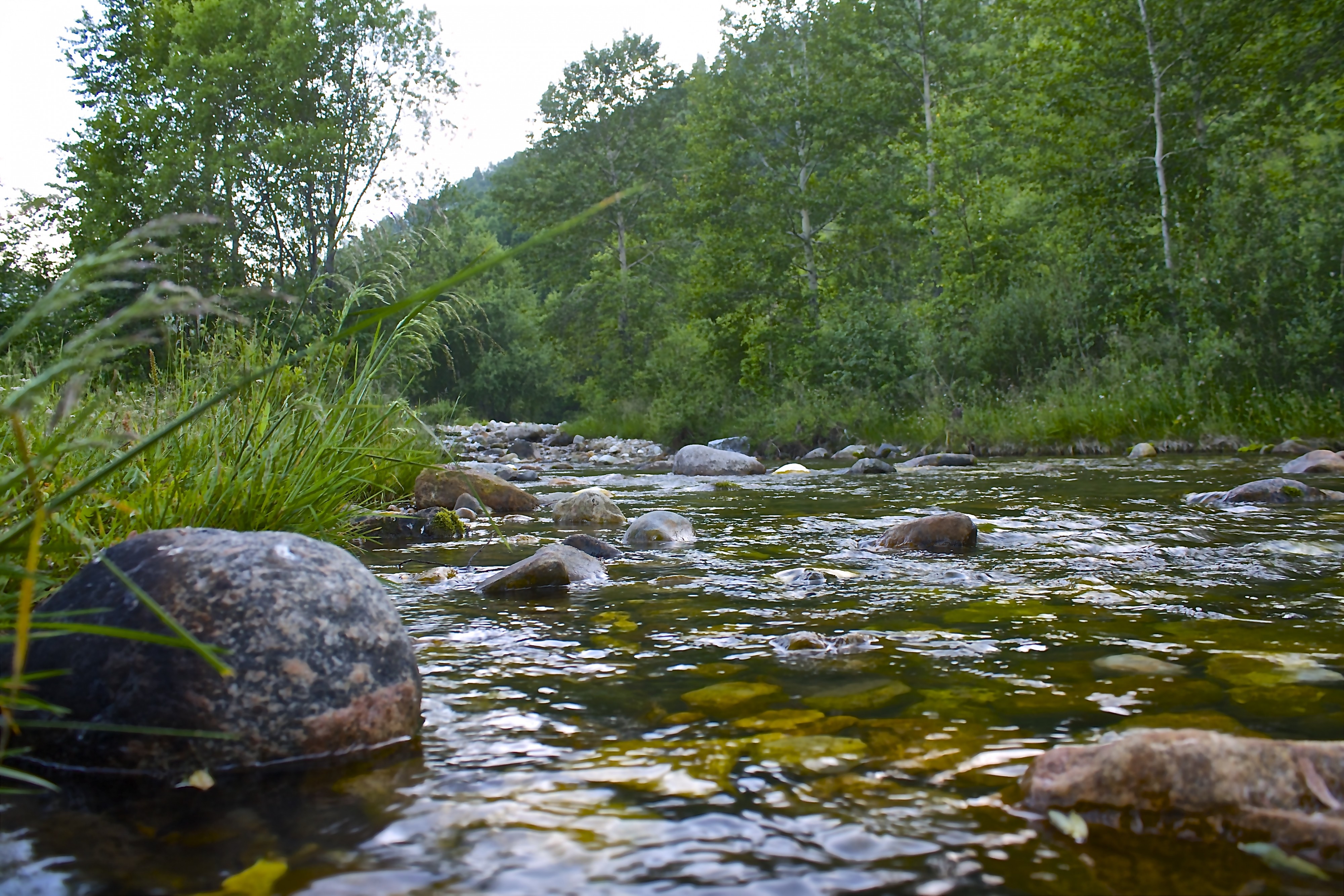 Слюдянка (река)-камешки