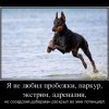 Раскрытие потенциала