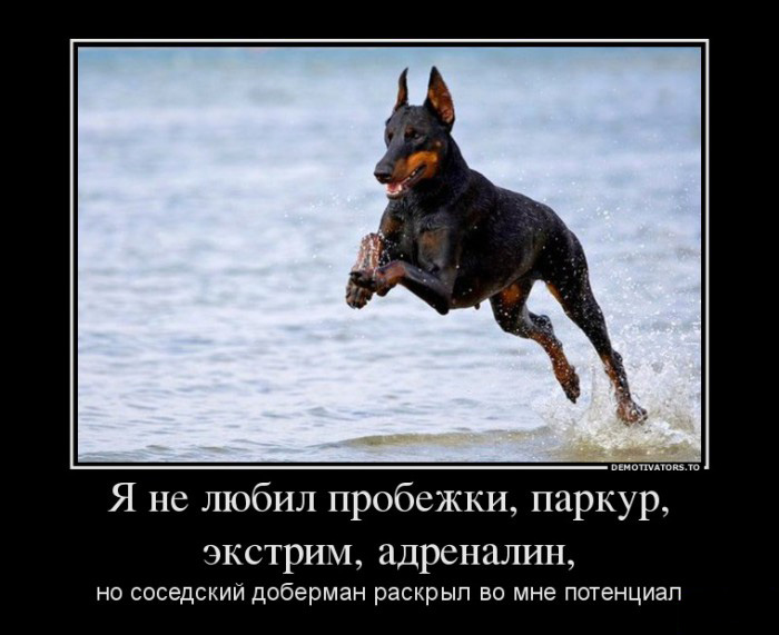 Раскрытие потенциала