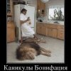 Каникулы Бонифация