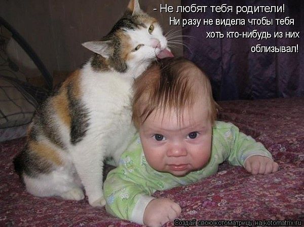 Котэ