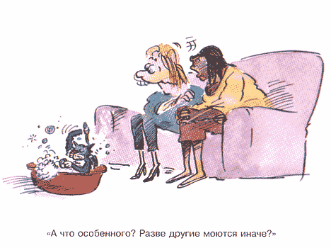 Карикатура.