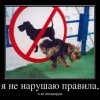 Игнорирование Игнорирование