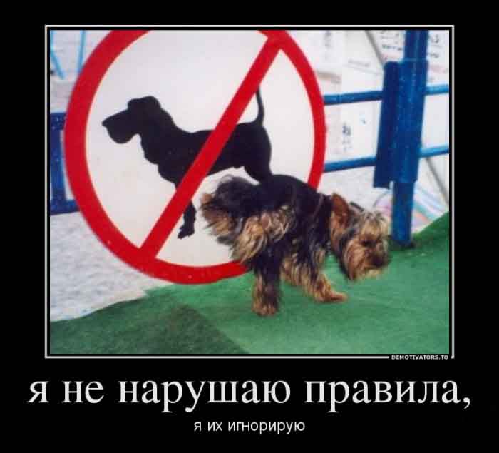 Игнорирование