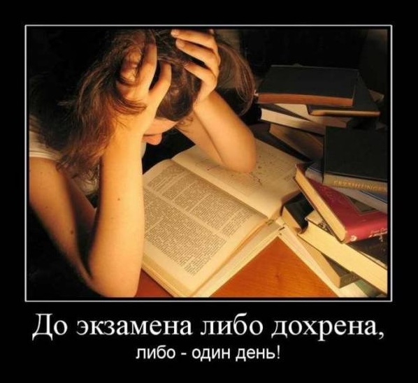 Накануне экзамена