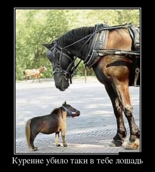Не курить
