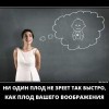 Плод воображения Плод воображения