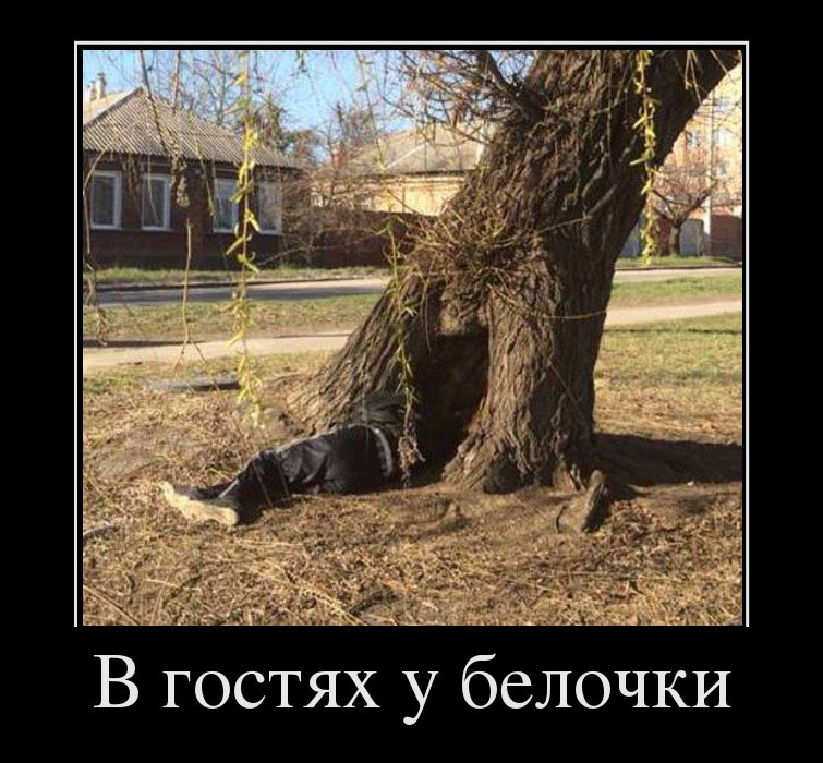 В гостях