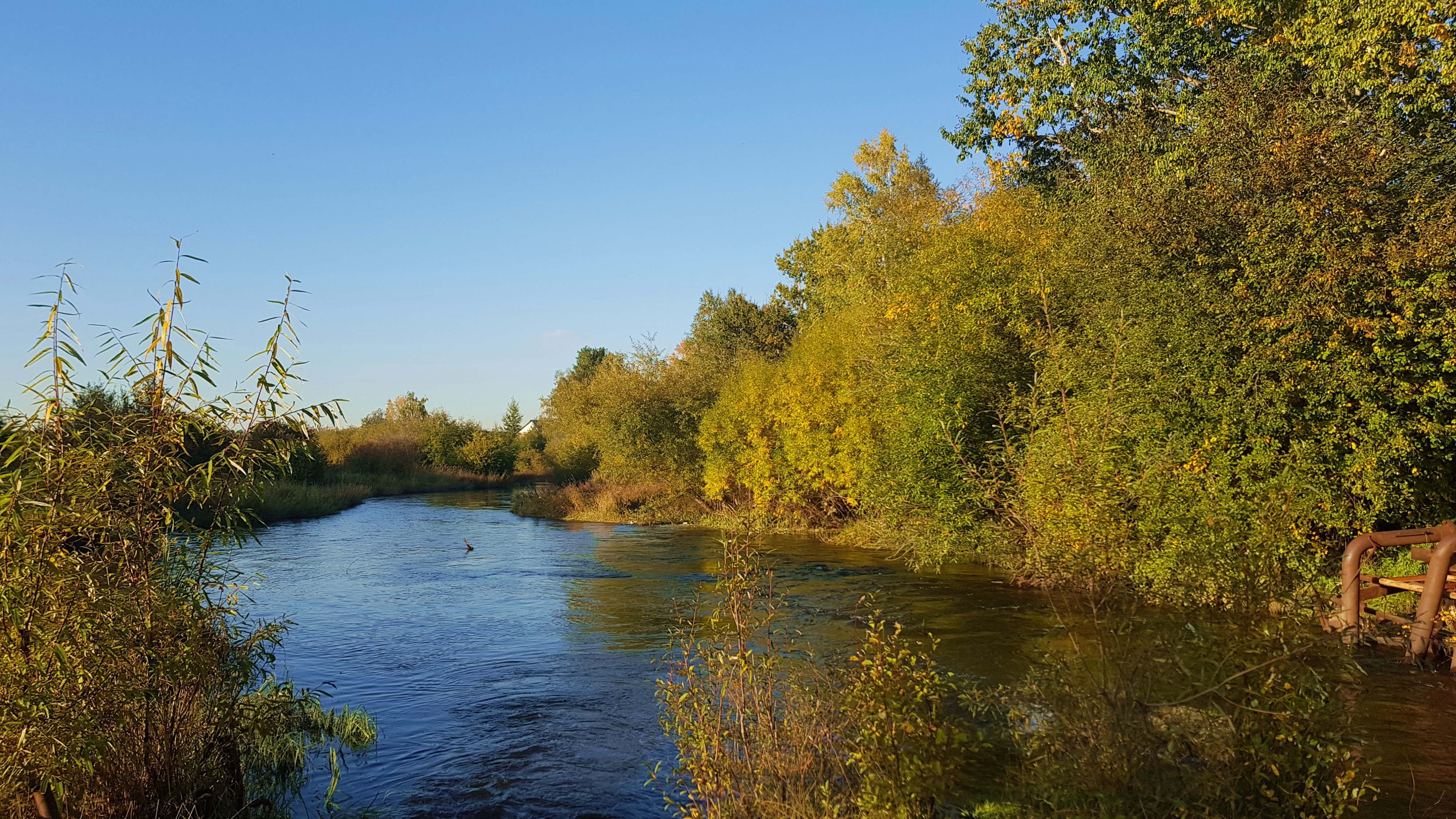 осень на Еловке)))))