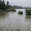 Воды Еловки замутились