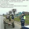 Водитель кобылы