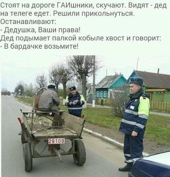 Водитель кобылы