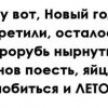 Ну вот...встретили Новый год