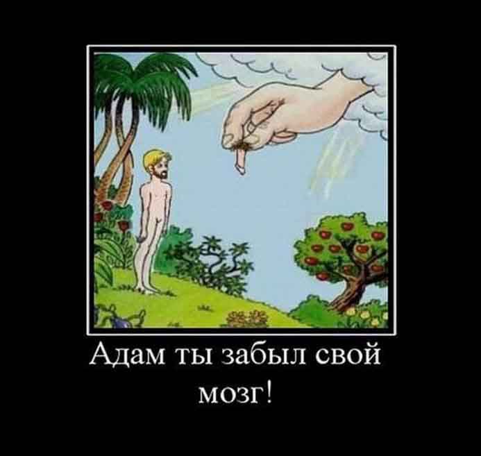 Мозг Адама