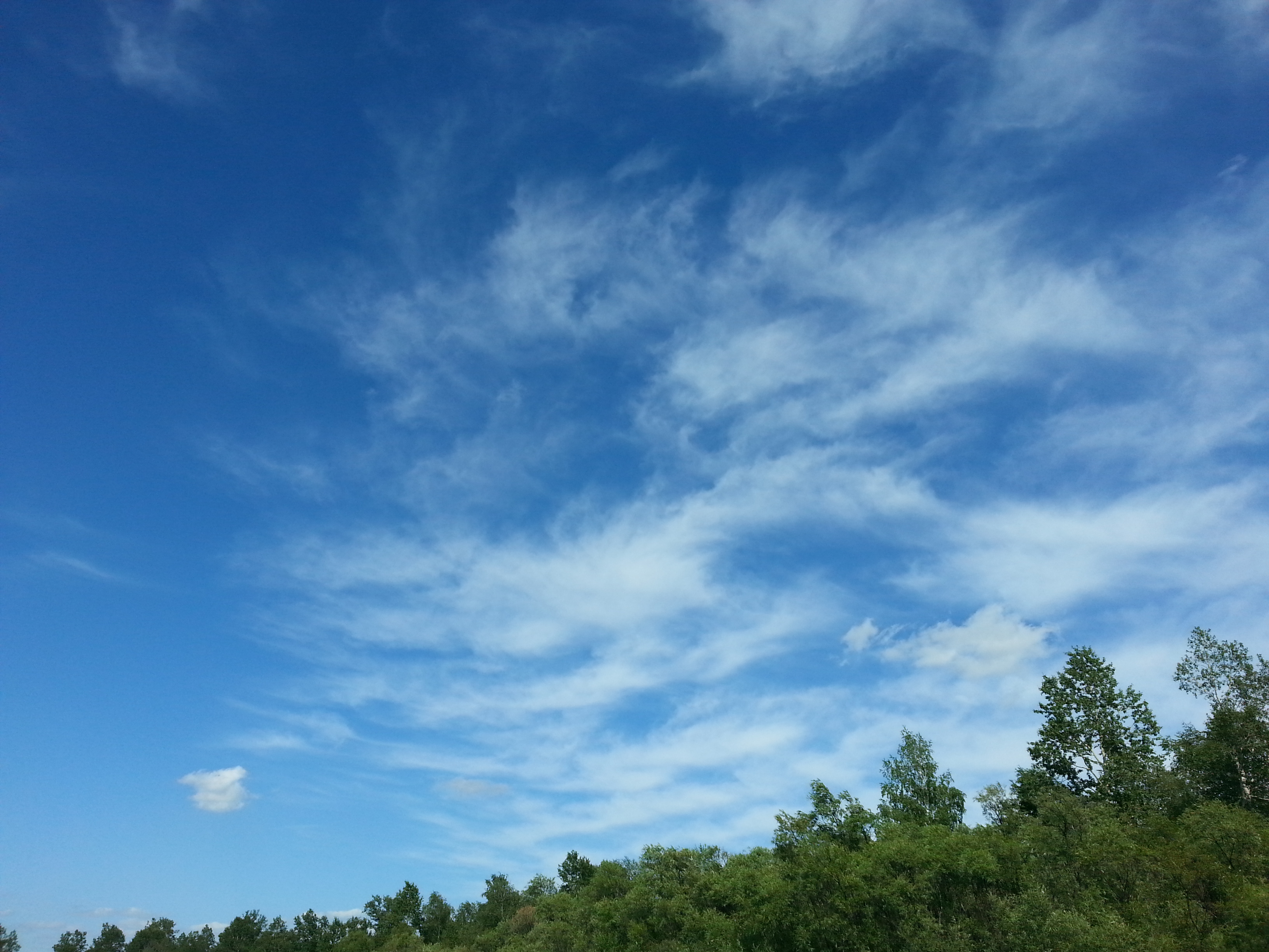 очередное облагооо))))