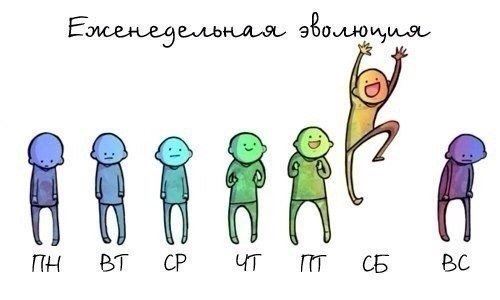 Еженедельная эволюция