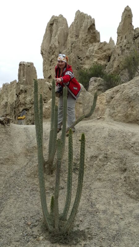 кактусы в Лунной долине 