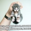Судьба