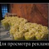Для просмотра рекламы