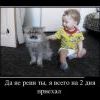 GetImage (5)