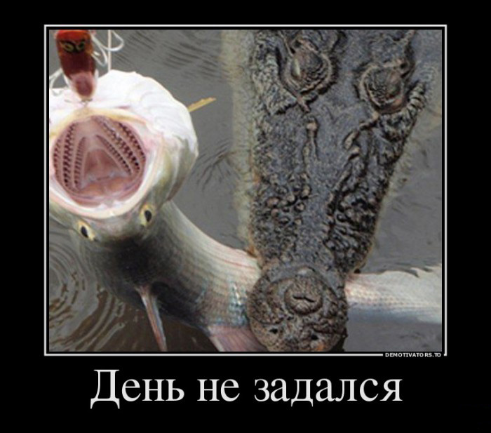 День не задался