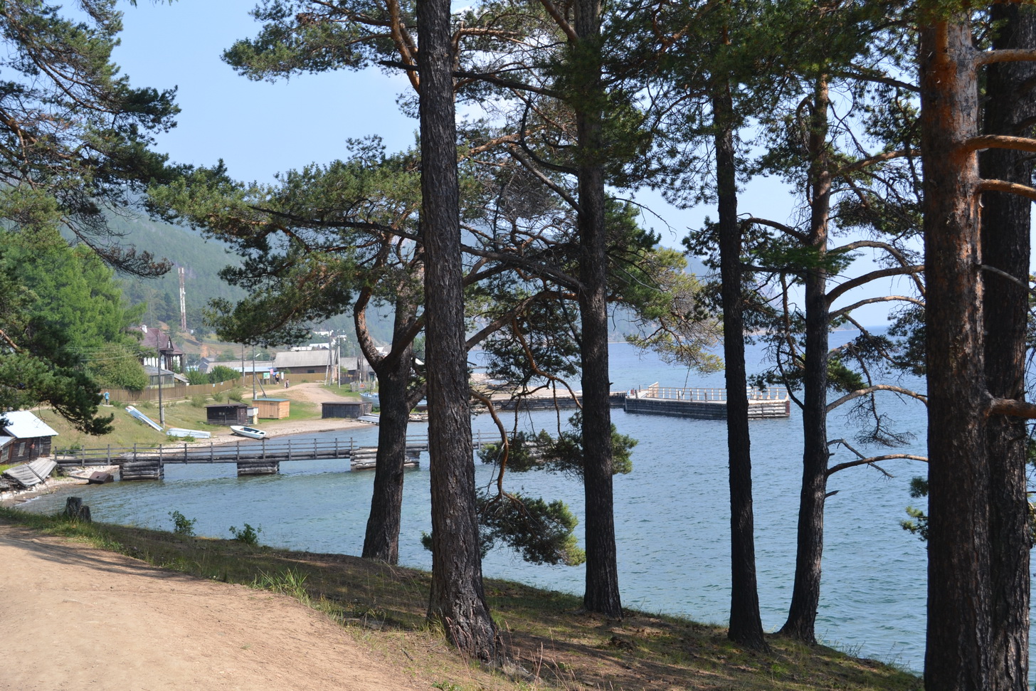 Большие КОты))))))