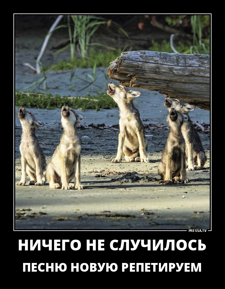 Новая песня