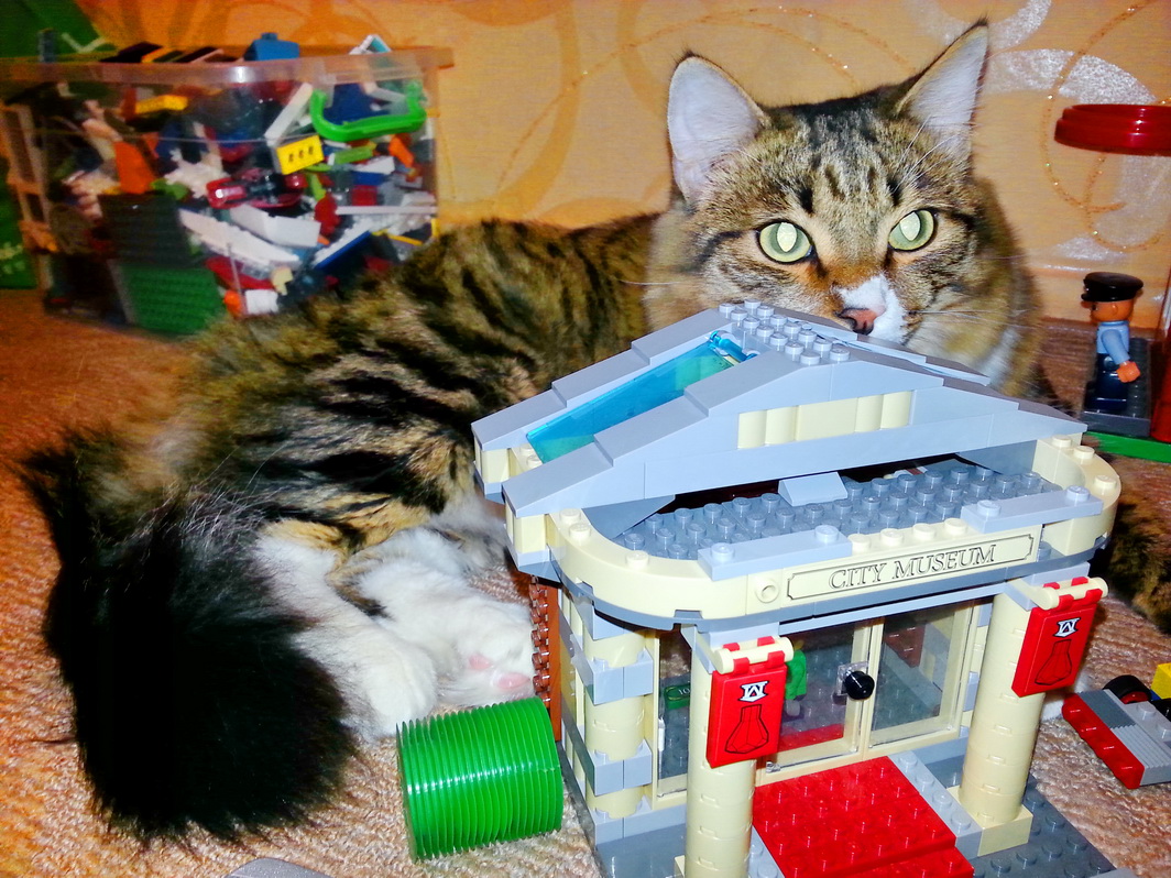 посетитель музея)))))