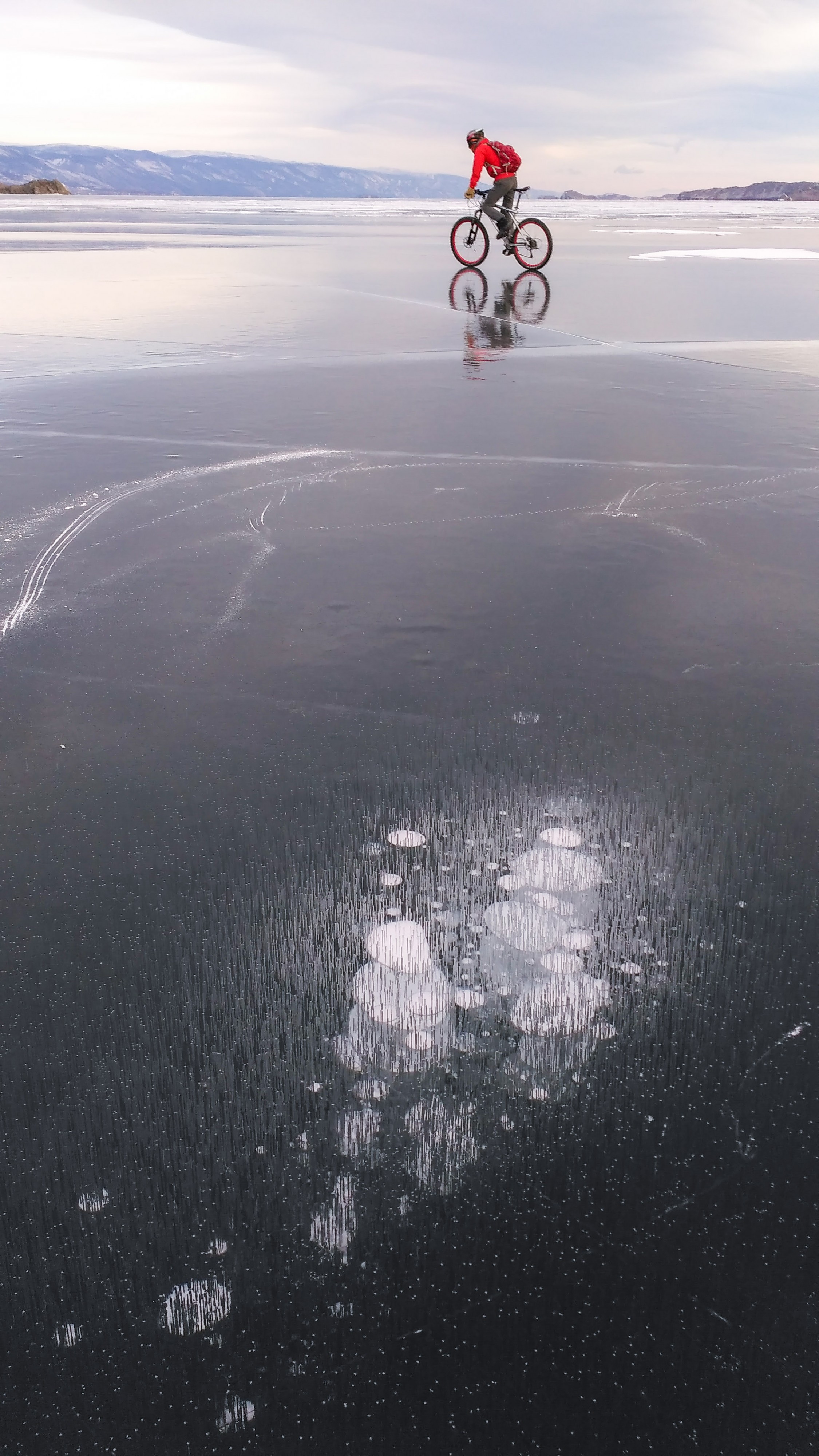 пузырики метана 