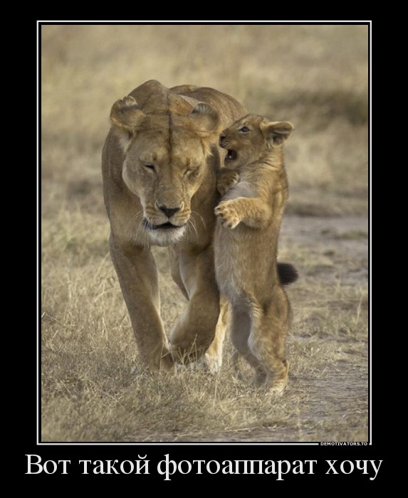 61747698 vot-takoj-fotoapparat-hochu