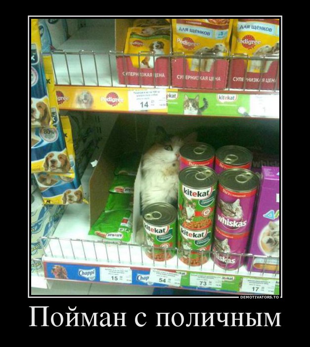 84443060 pojman-s-polichnyim