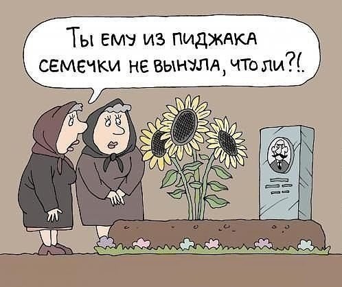 Семечки