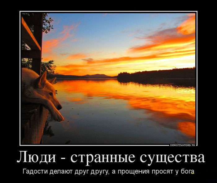 Люди-странные существа