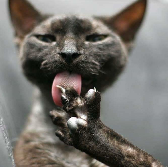 сыграем на щелбаныыыыыыыыы))))))