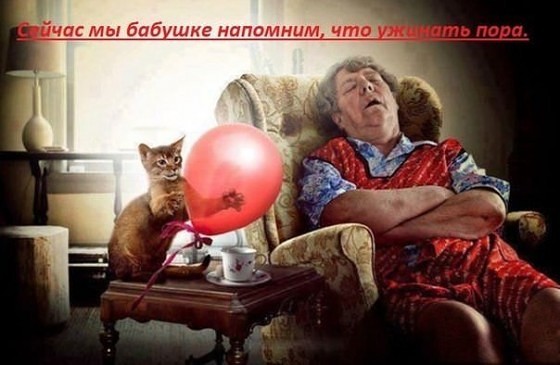 Время... ужина