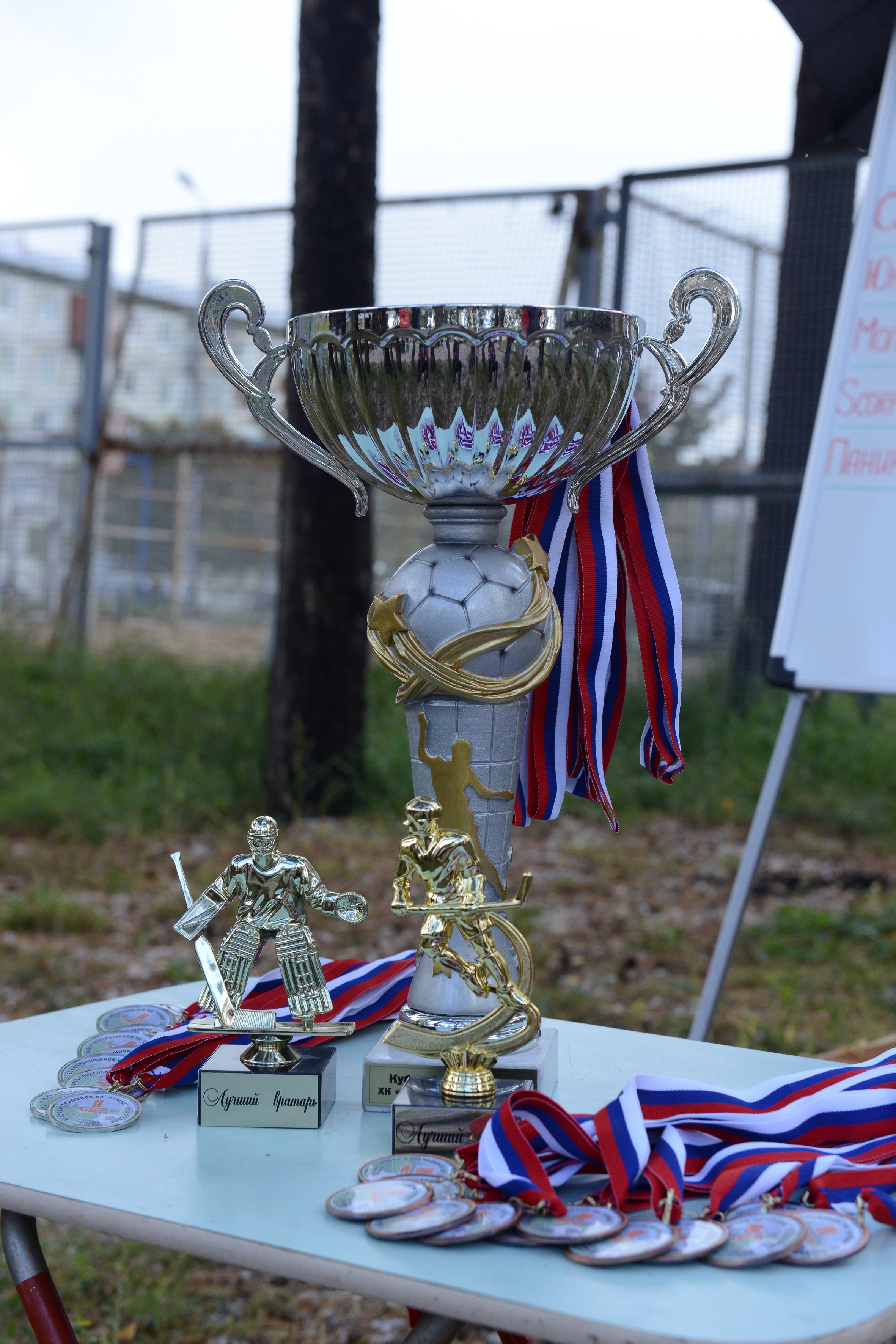 Кубок болельщиков Ермака 2014