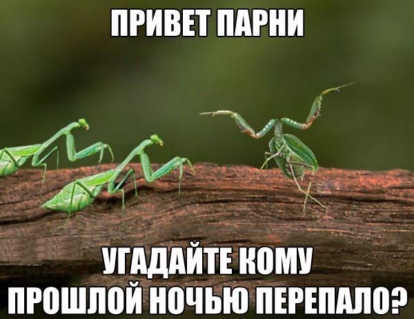 кому перепало?