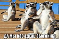 Узбагойся))))))