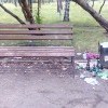Парк 10-летия Ангарска: урна у скамейки