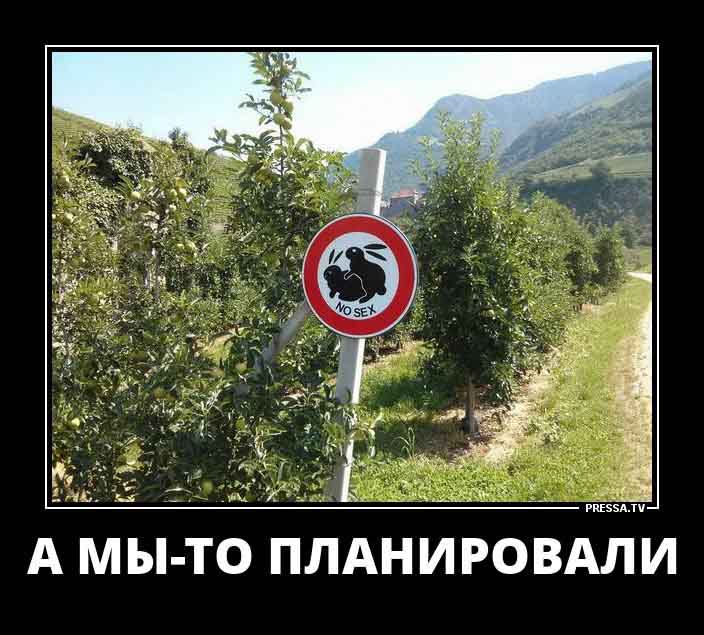 Планы
