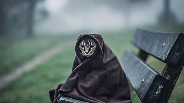 Близится осень, осень крадется…