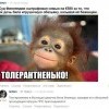 Толлерантненько Толлерантненько