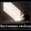 Настоящая свобода Настоящая свобода