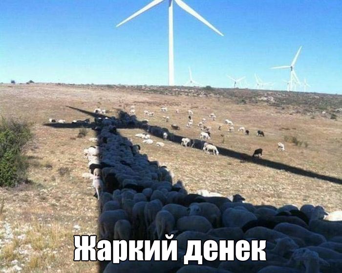 Жаркий денек