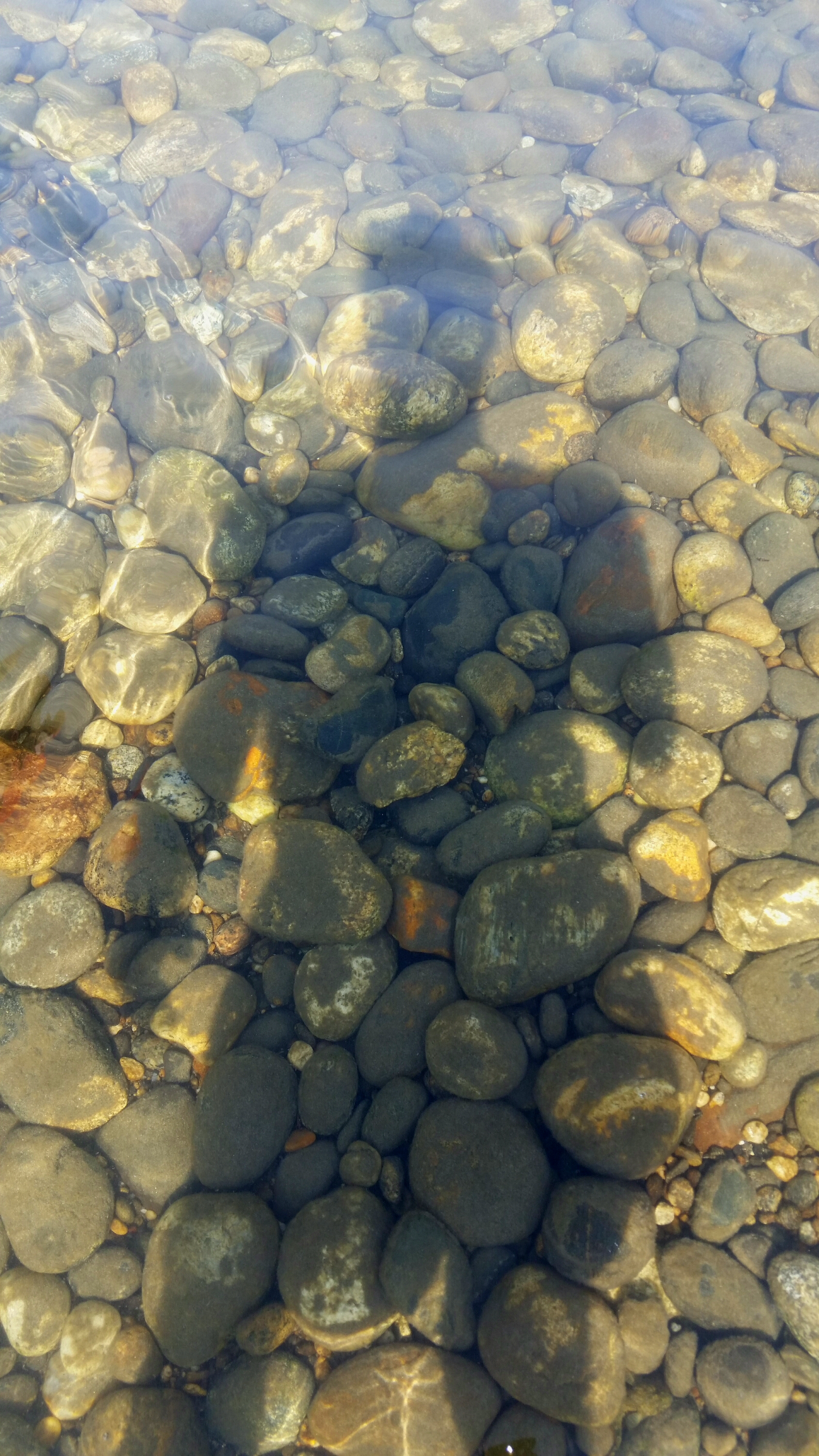 сирёгина тень каменноводная))))))