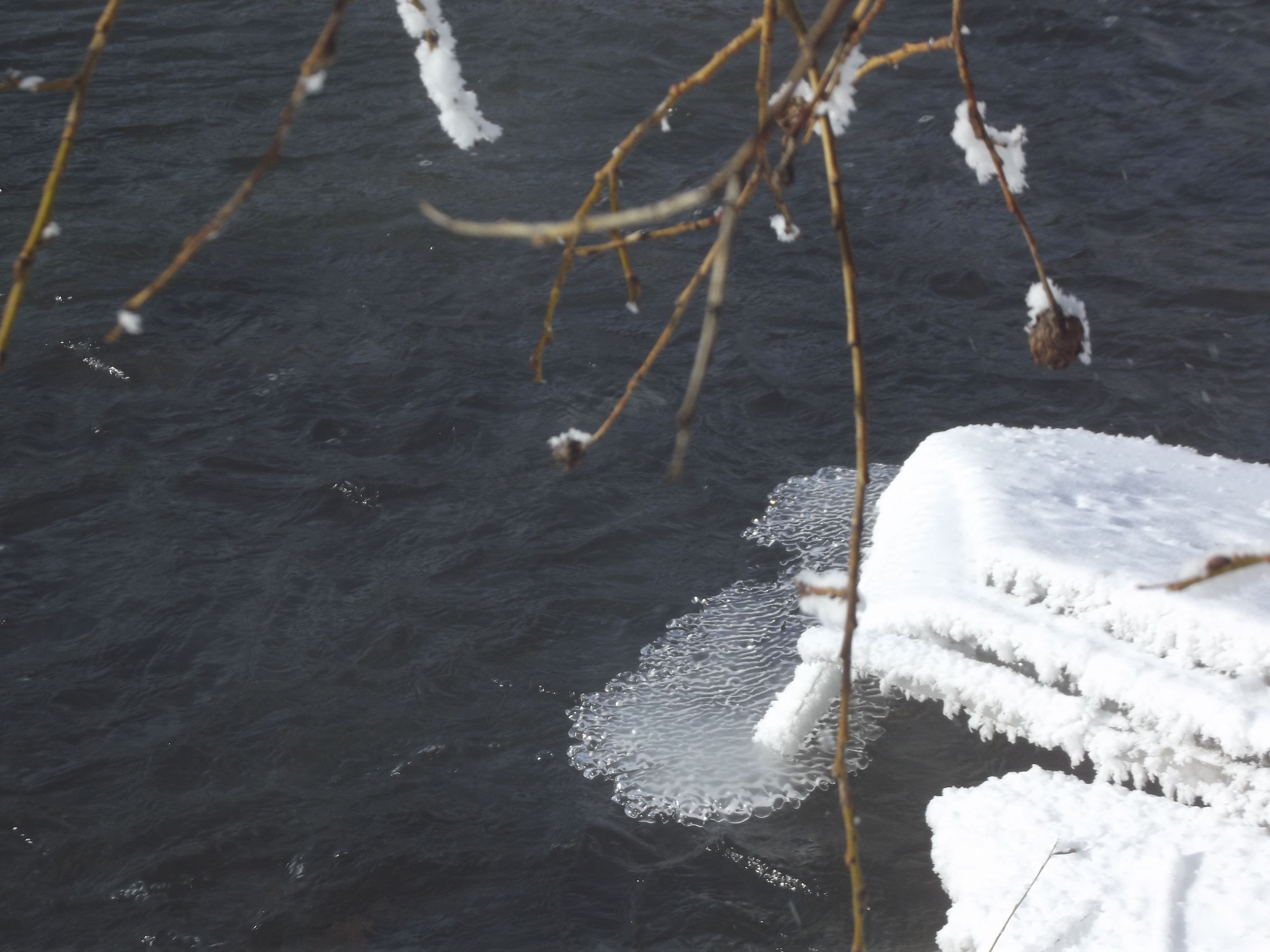 Еловская льдинка